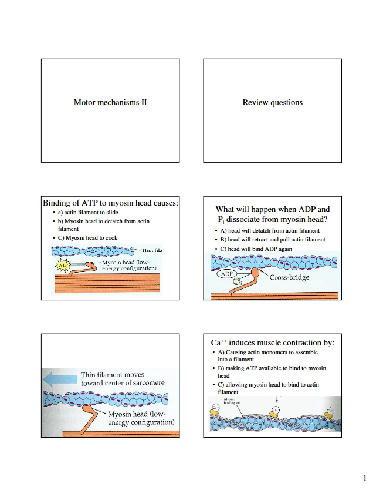 Second Motor Mechanisms