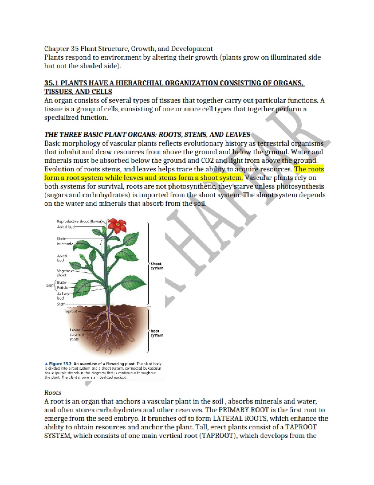 Thirty-Fifth Chapter An Overview of Plant Structure, Growth, and Development