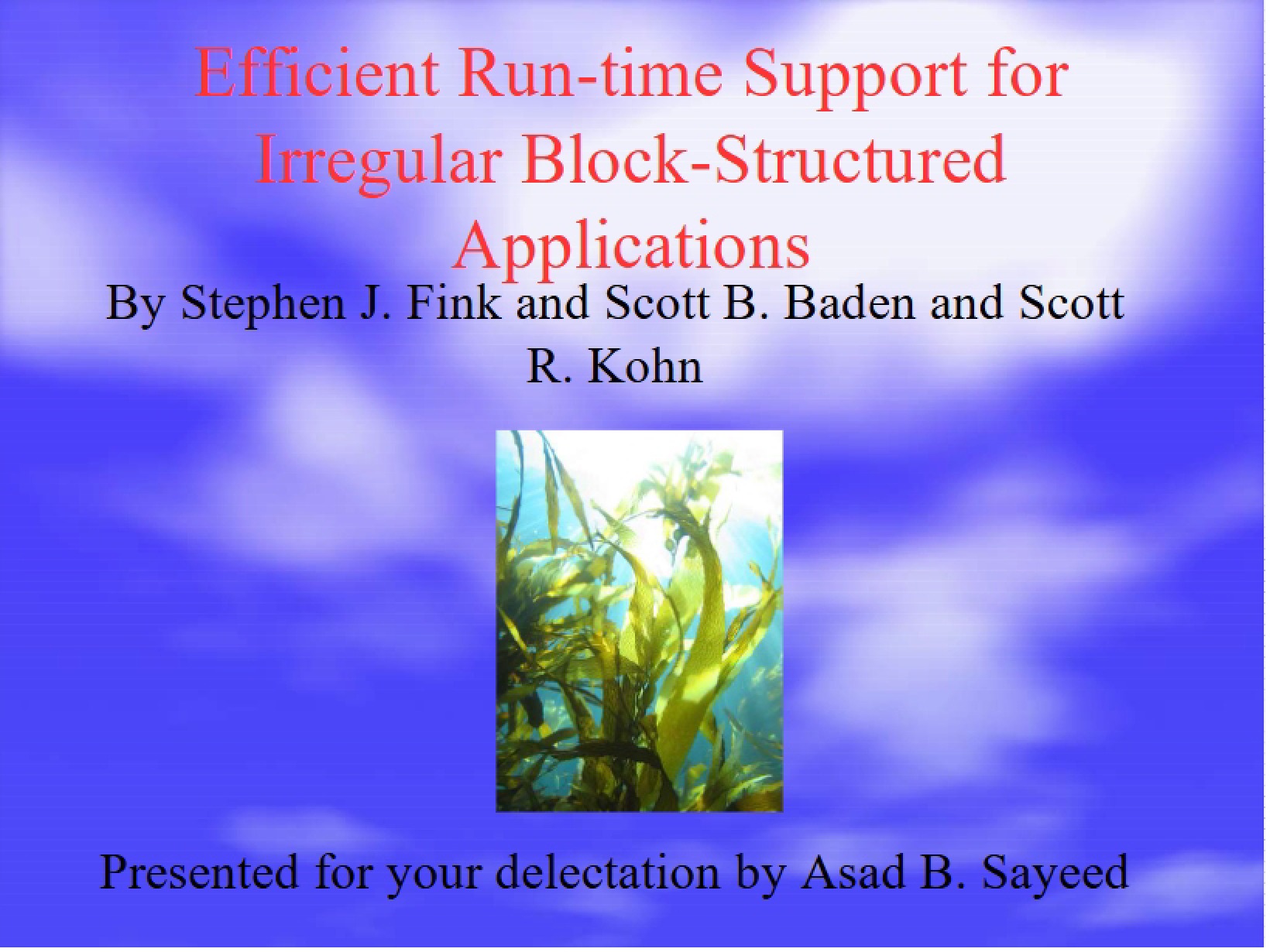 Irregular Block-Structured Applications Run-time Support