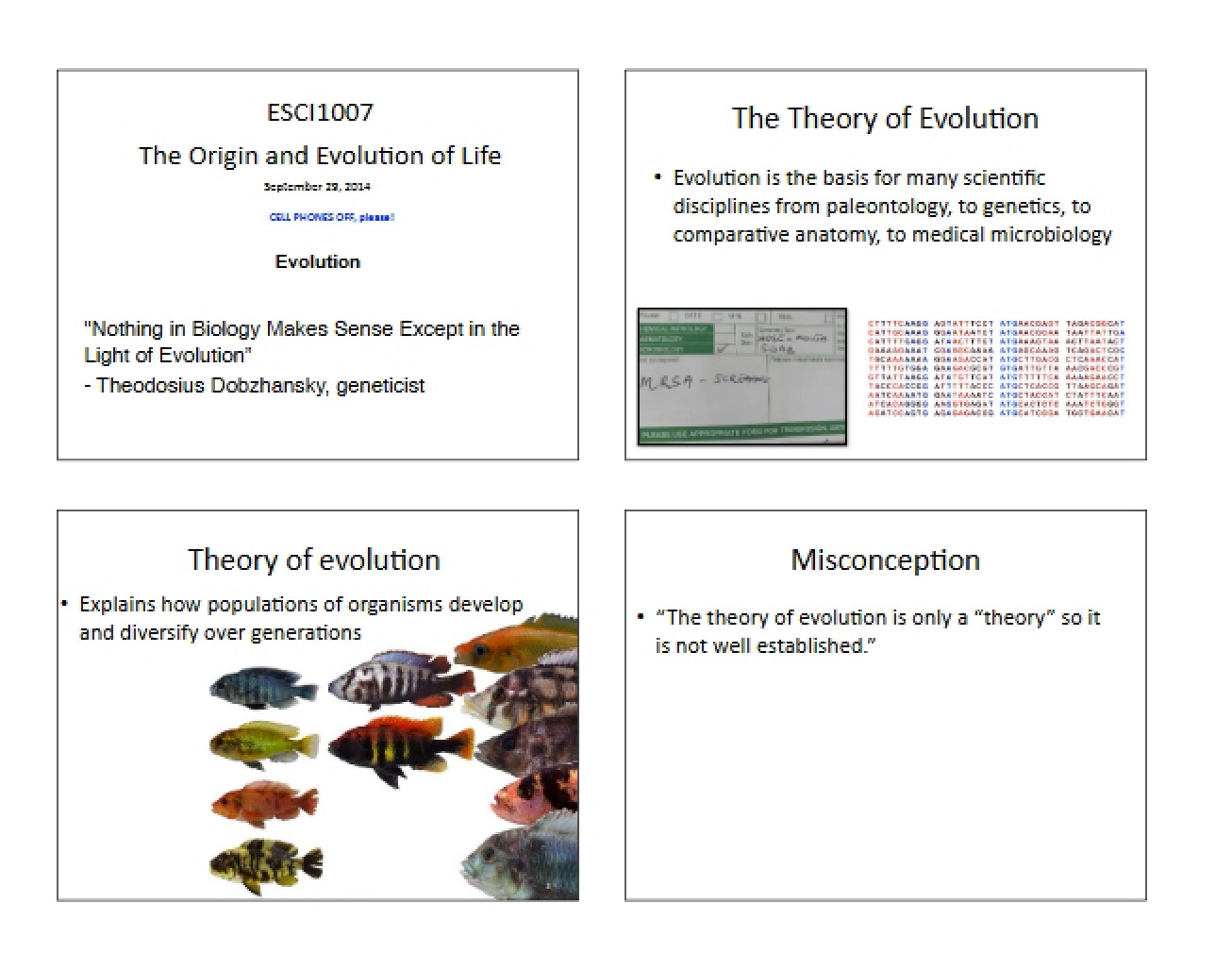 Lecture 9 Evolution