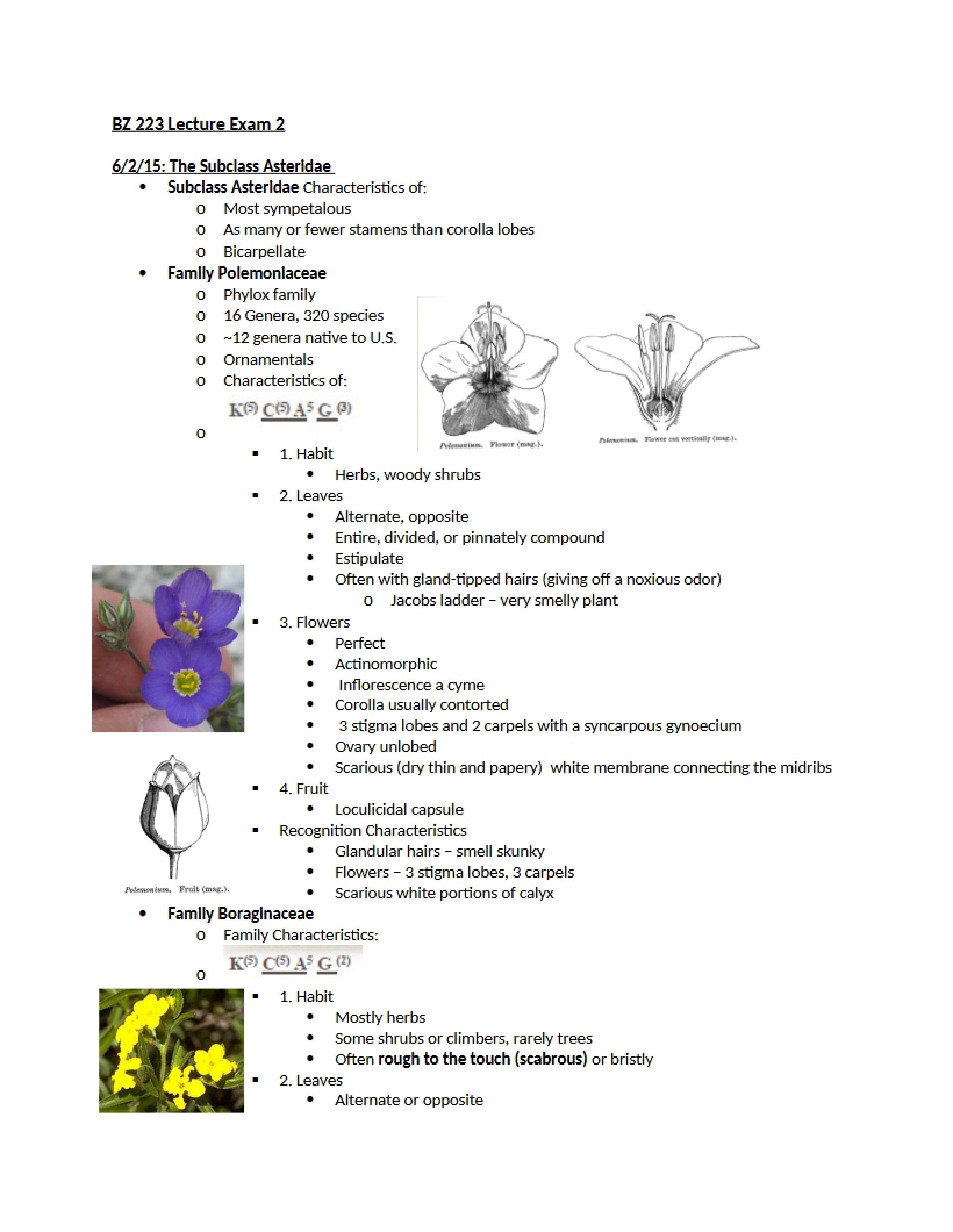 Second Lecture Exam