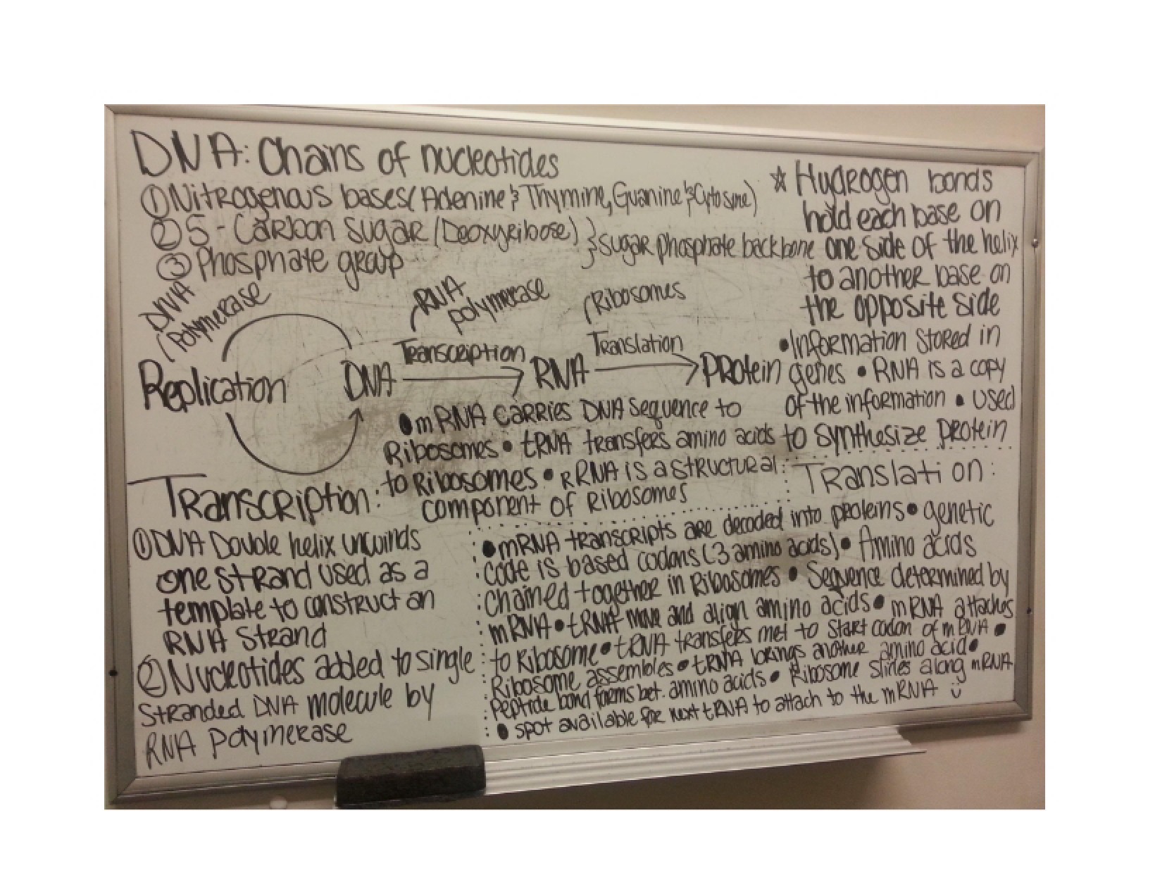 Notes on Plant Biology
