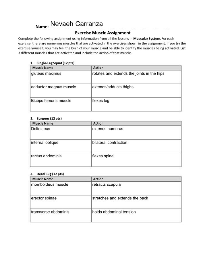 Assignment - Exercise and Muscles