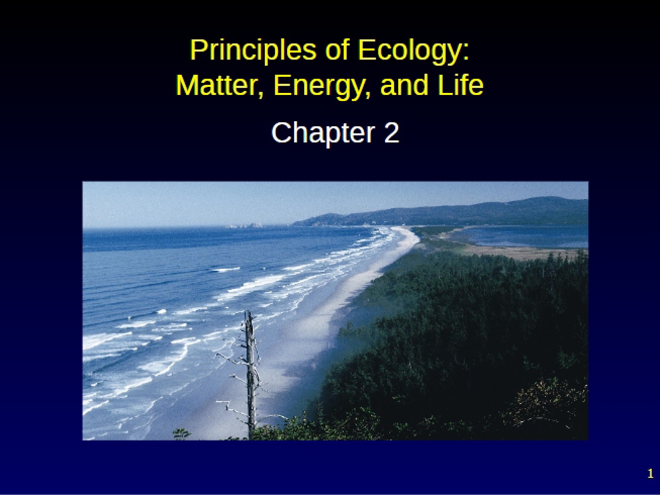 Energy, Matter, and Life