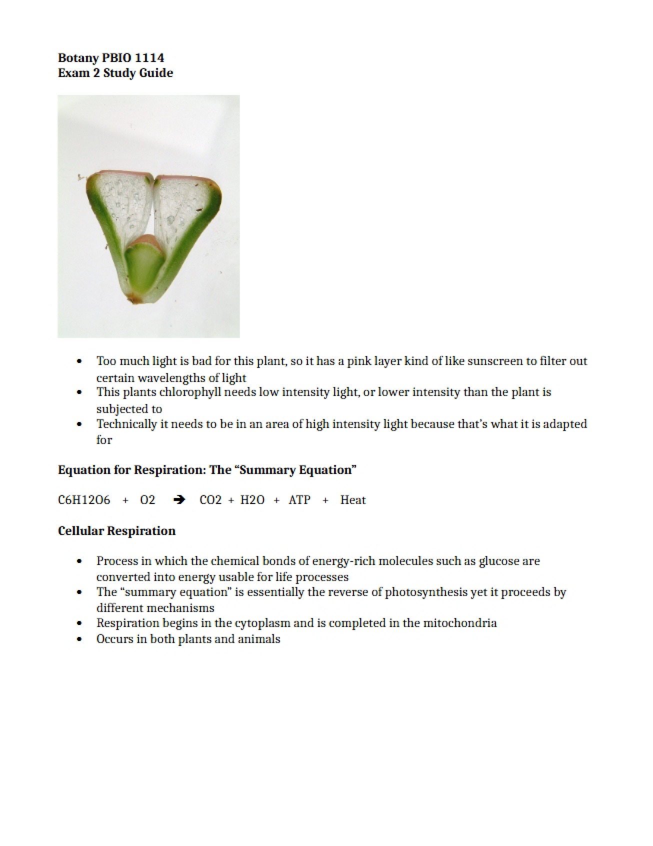 General Botany Second Exam Review