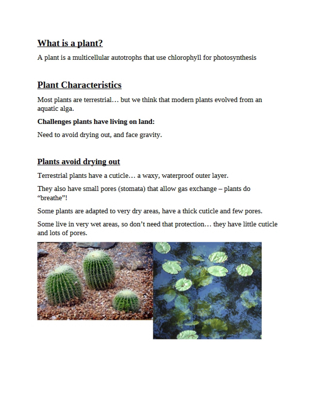 Plant Biology