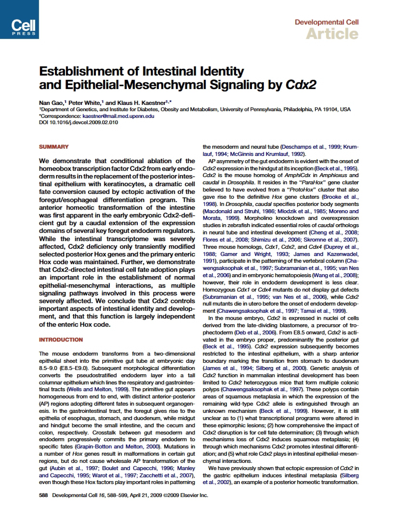 Epithelial and Intestinal Identity Establishment