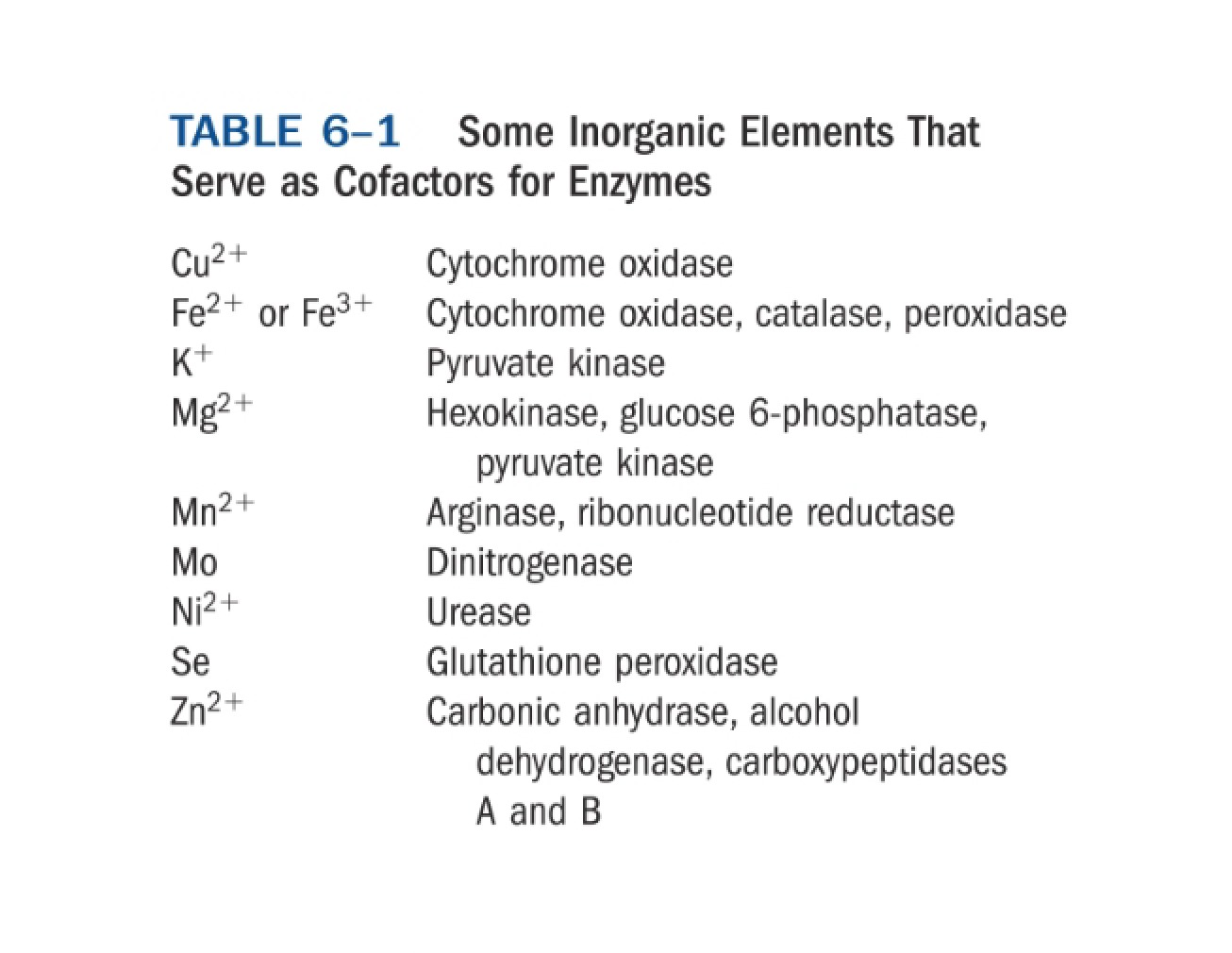 Structural Biochemistry Discussion Notes