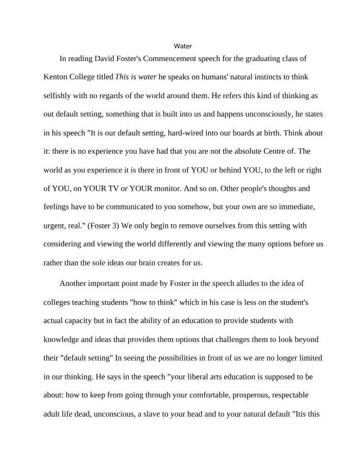 Essay on Water