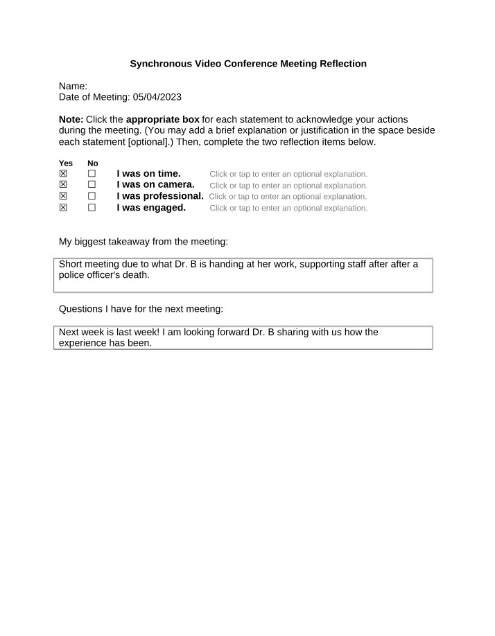 Synchronous Video Conference Meeting Reflection Set E
