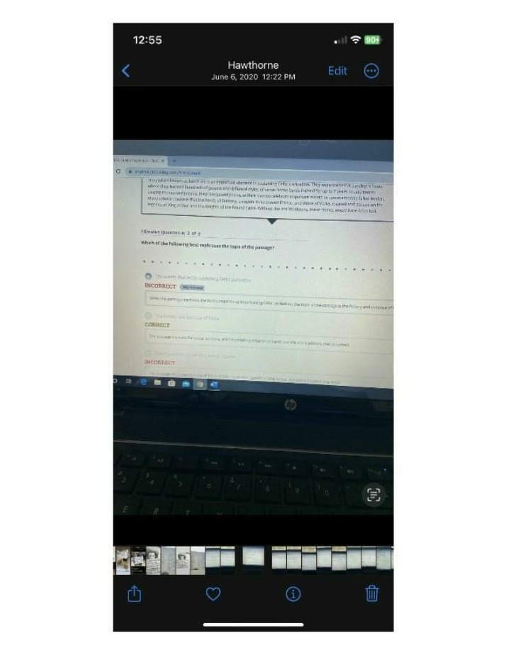History and Purpose of Bards in Celtic Civilization - Exam Question