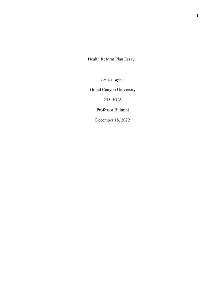 Essay on Health Reform Plan