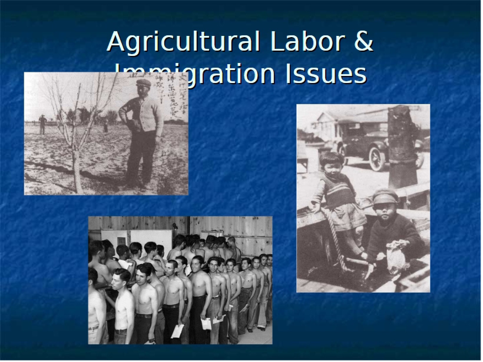 Immigration Issues and Agricultural Labor