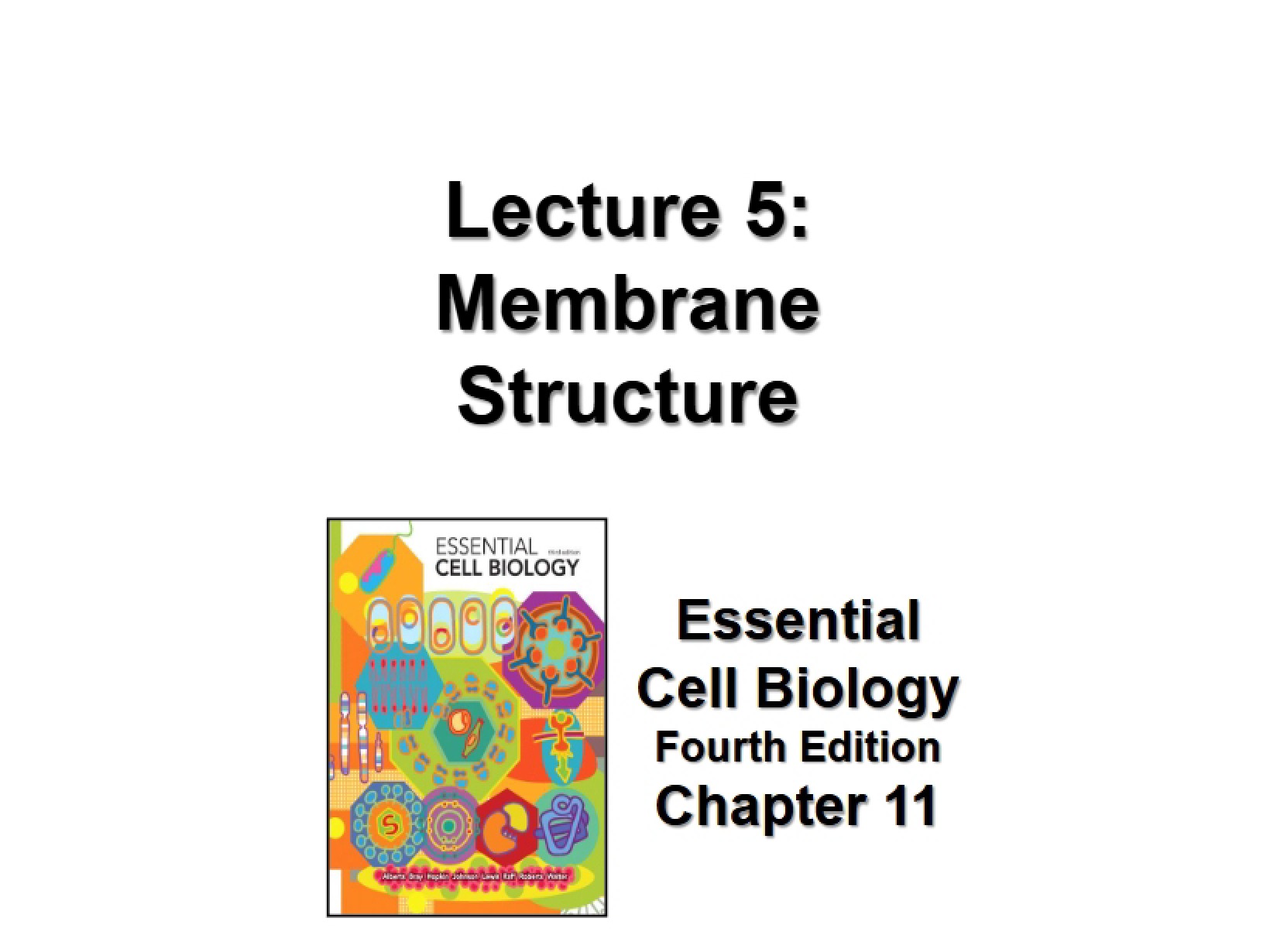 Membranes Lecture Five (2014)