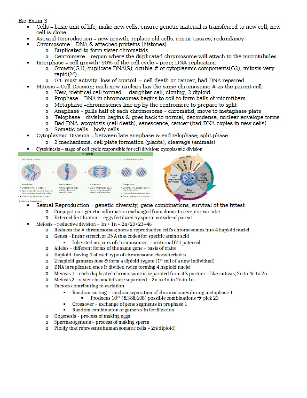 Third Examination in Introductory Biology