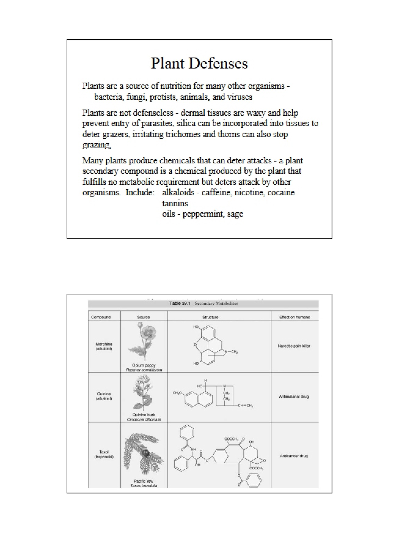 Defenses in Plants