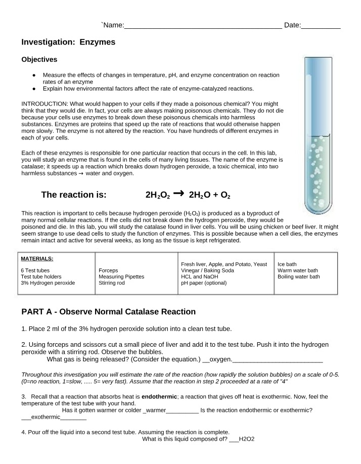 Temperature Effects on Enzyme Reaction Rates
