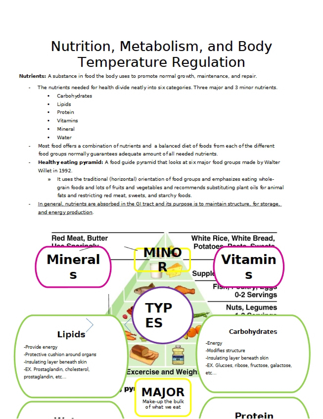 Regulating Body Temperature, Metabolism, and Nutrition