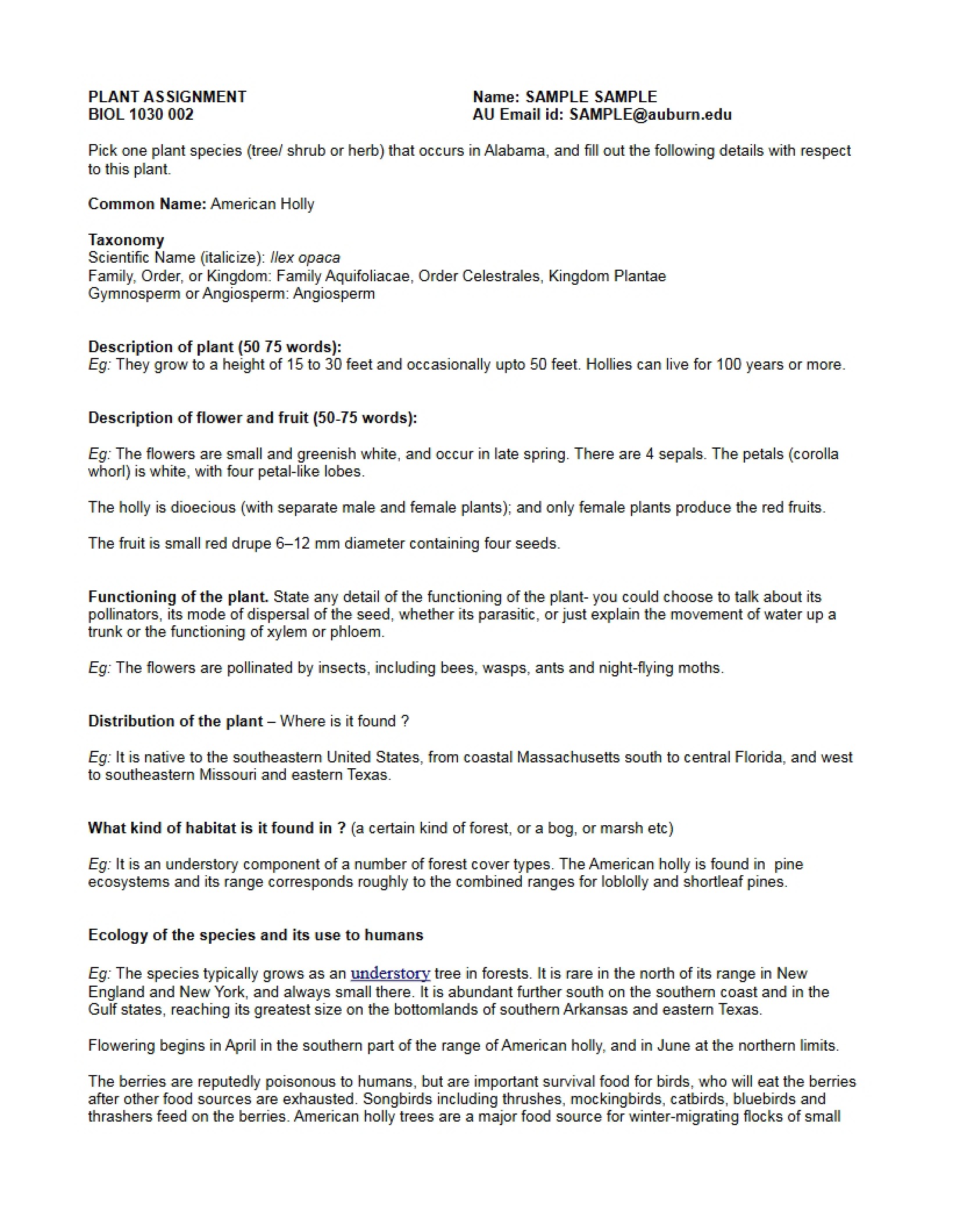 Sample of Plant Assignment