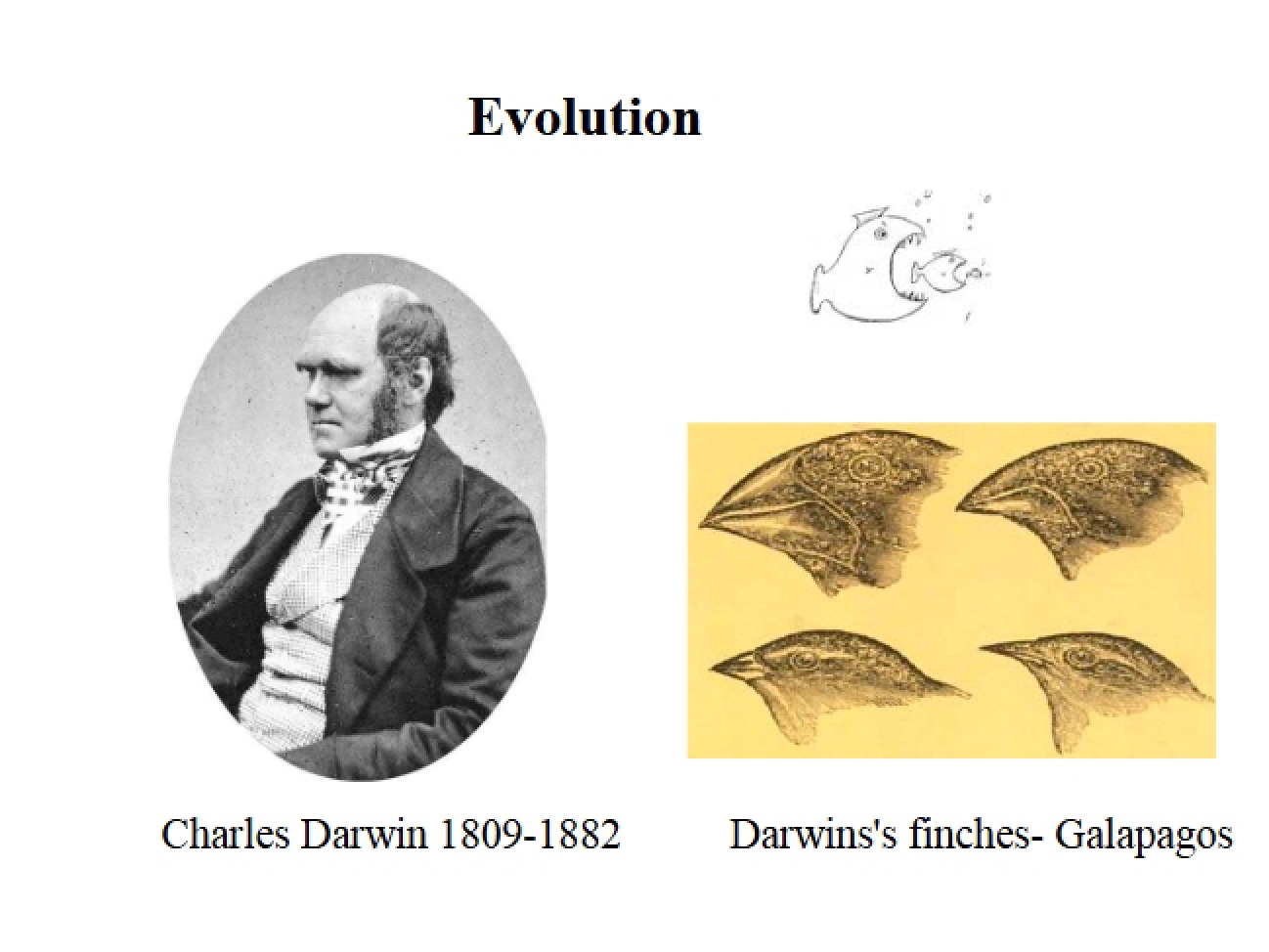 Evolutionary Theory