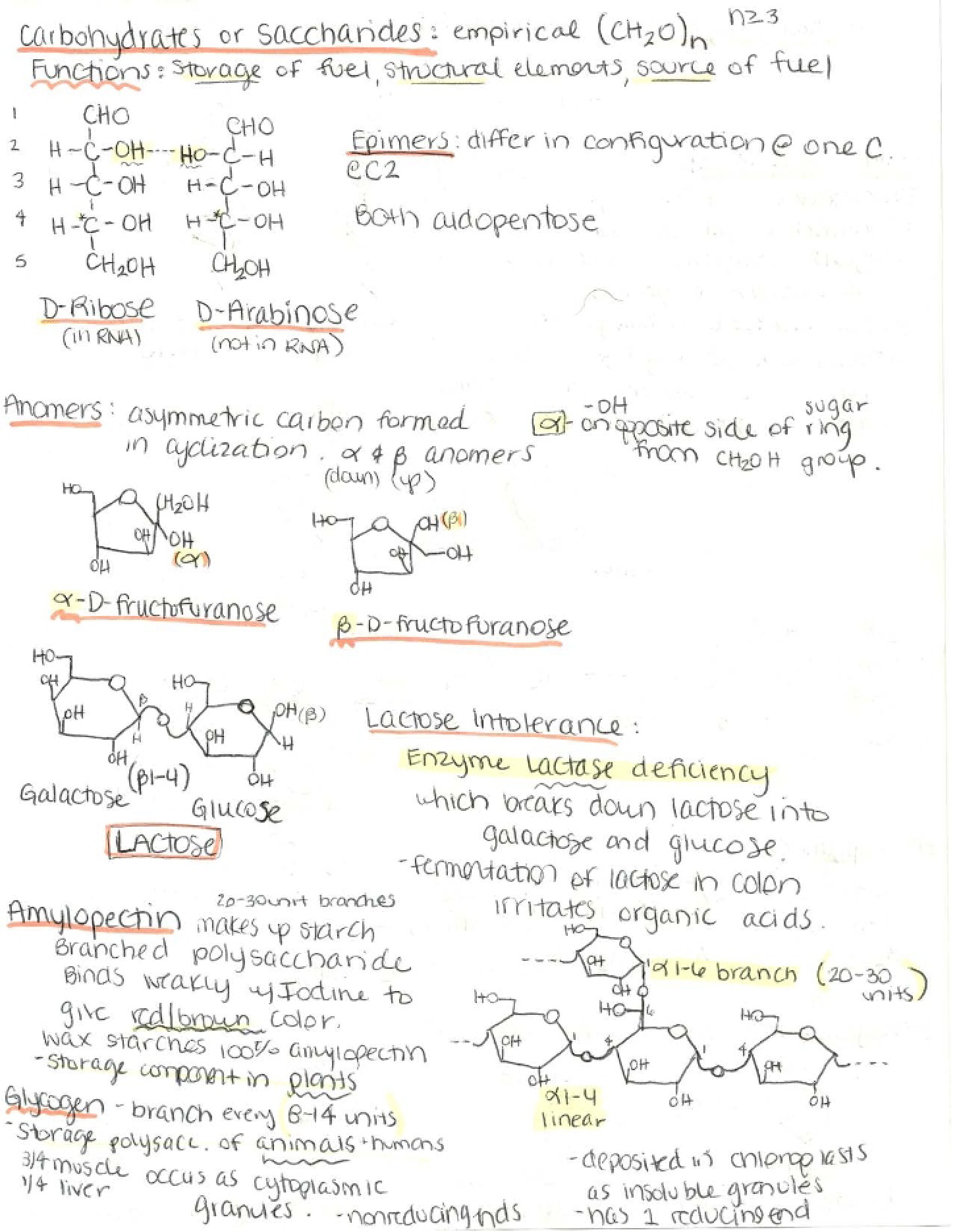 Structural and Functional Overview of Carbohydrates
