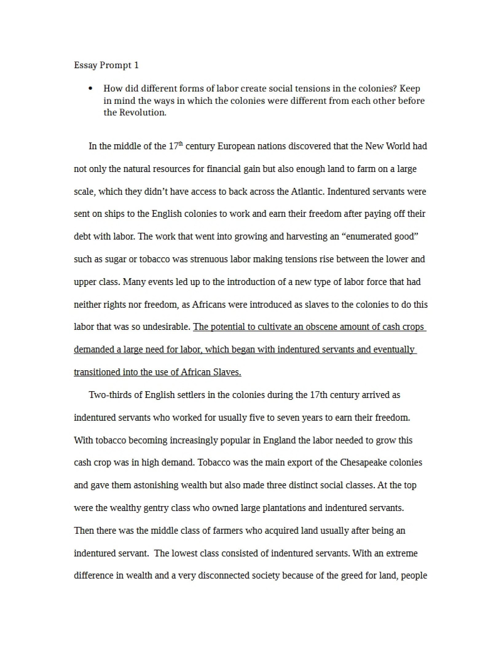 Prompt for Essay One