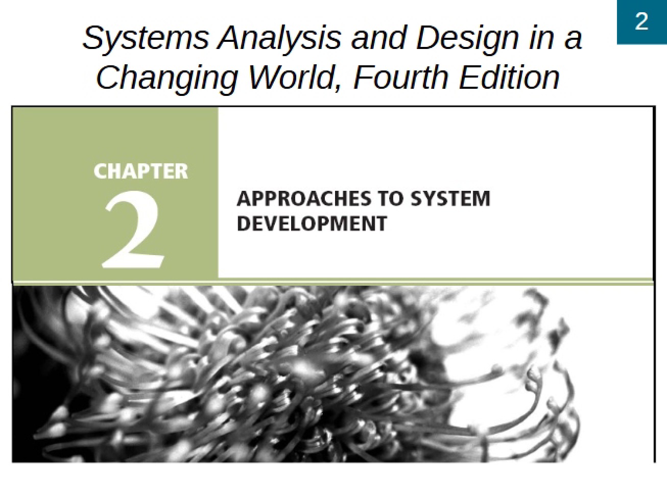 Chapter Two System Development Approaches