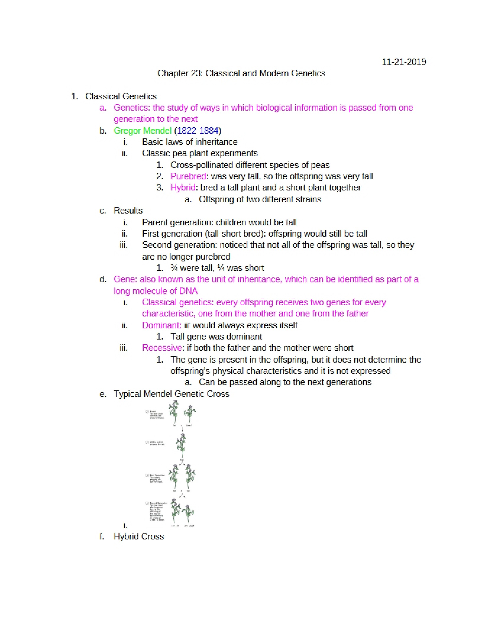 Genetics Classical and Modern (Chapter 23)