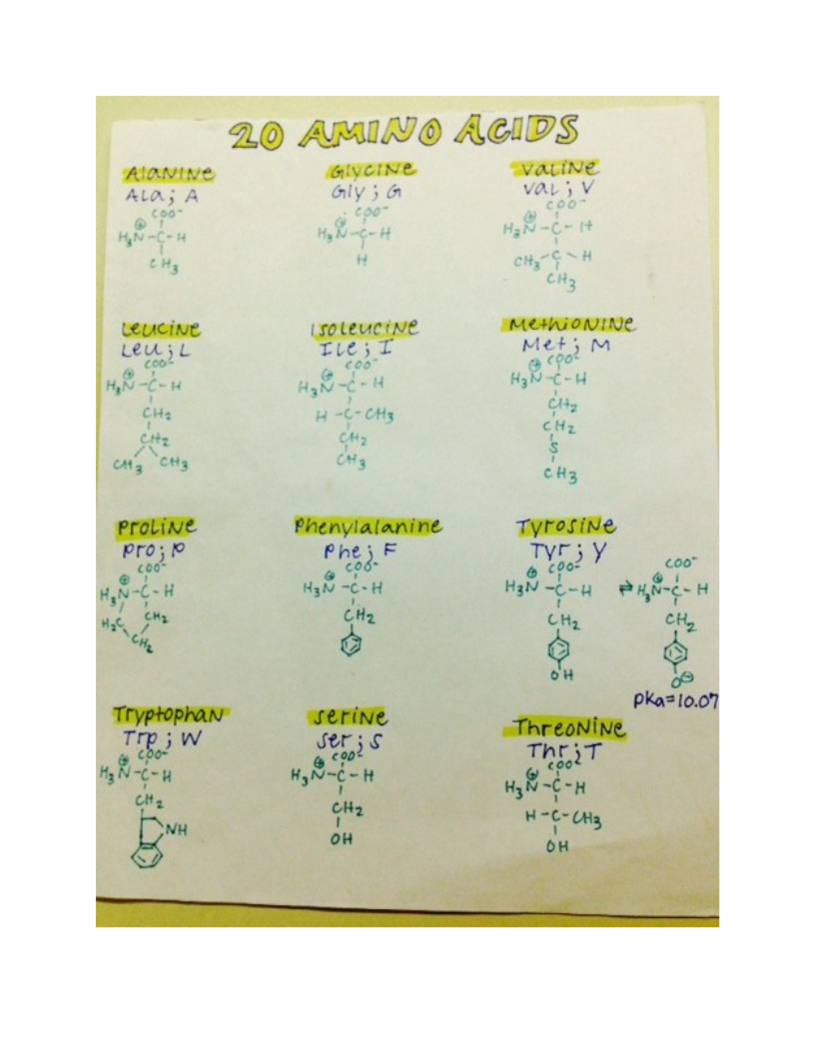Class Notes