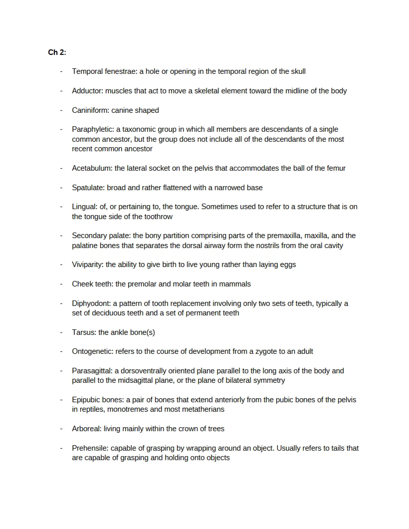 Vocabulary List