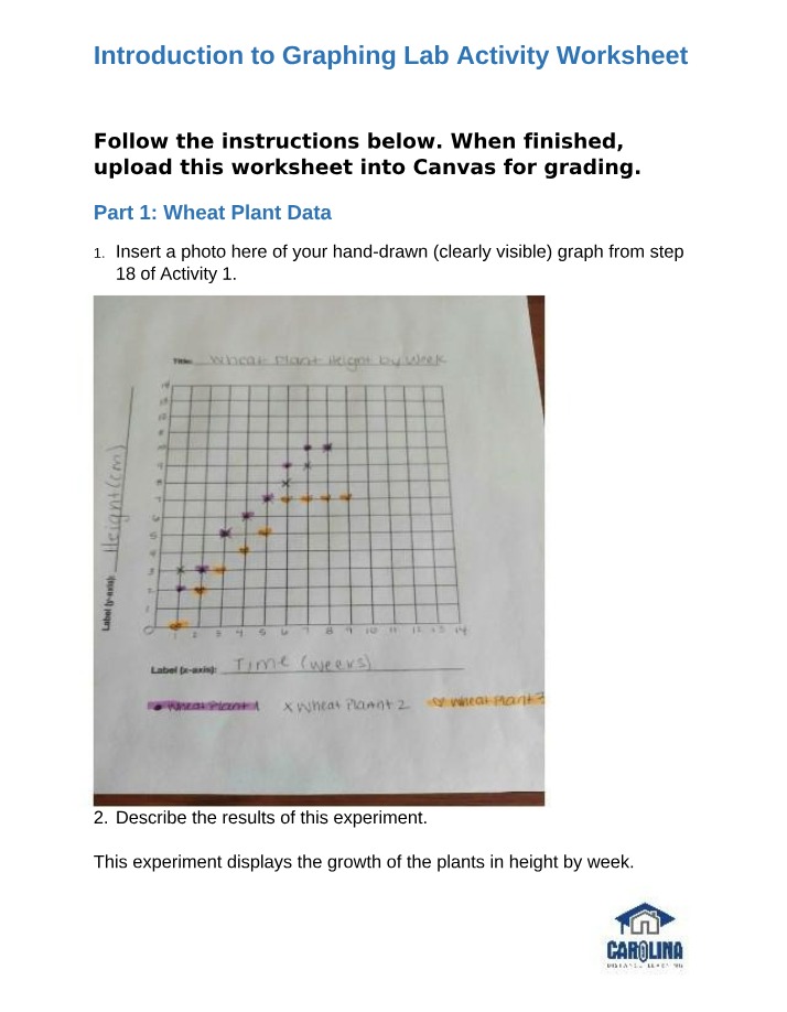 Intro to Graphing Worksheet