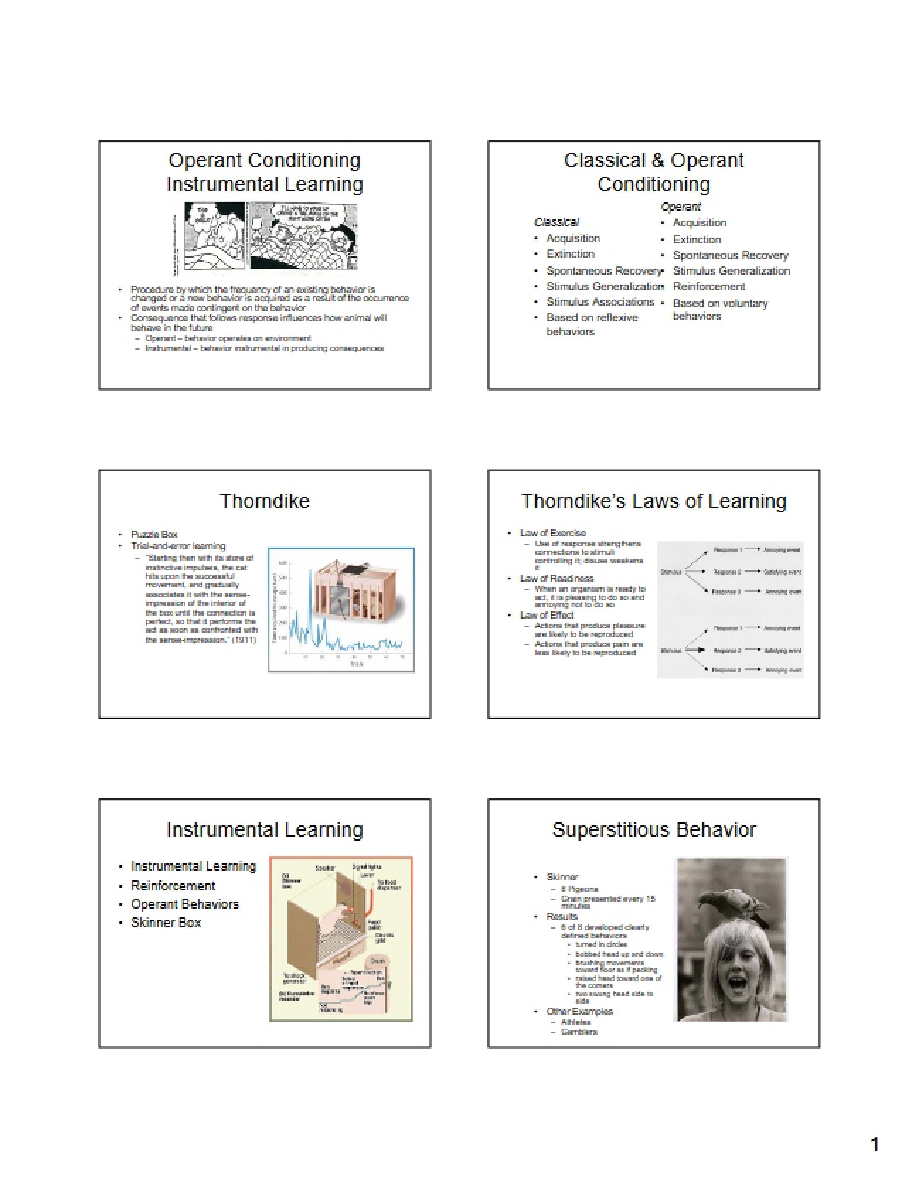 Principles of Instrumental Learning