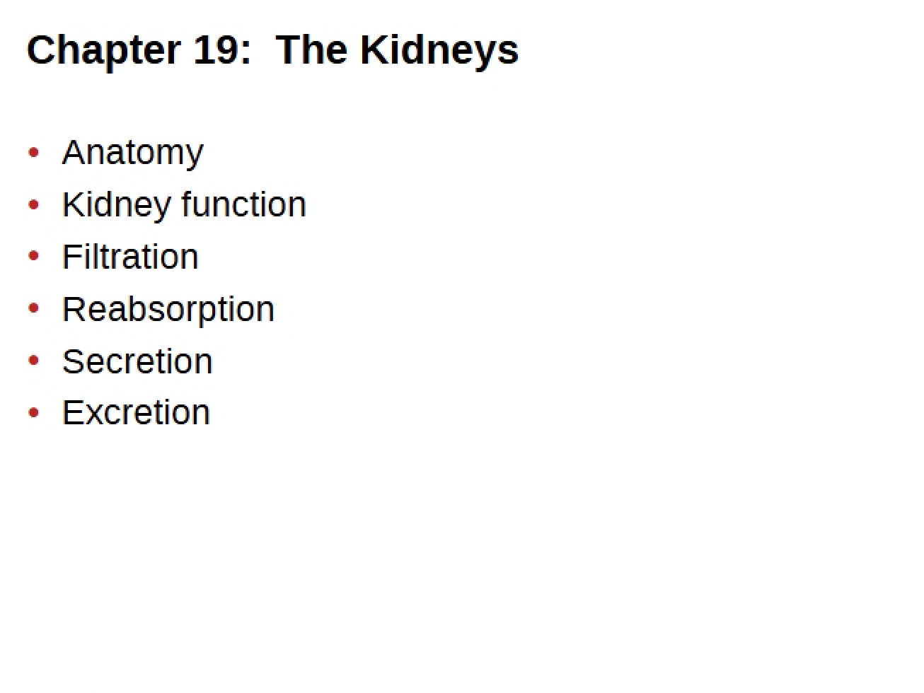 Nineteenth Chapter