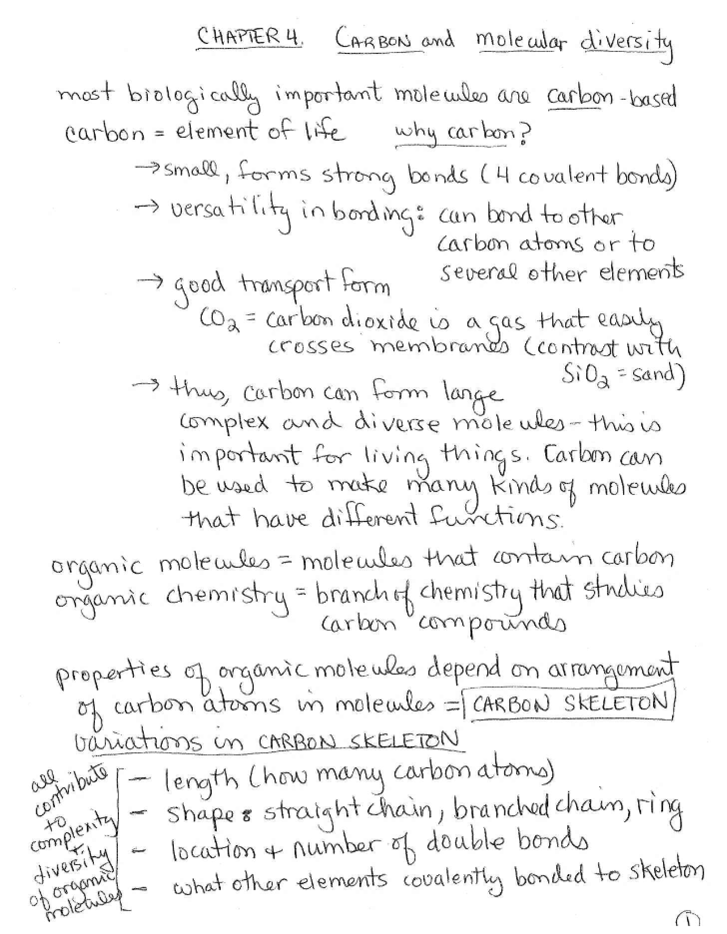 Molecular Diversity and Carbon