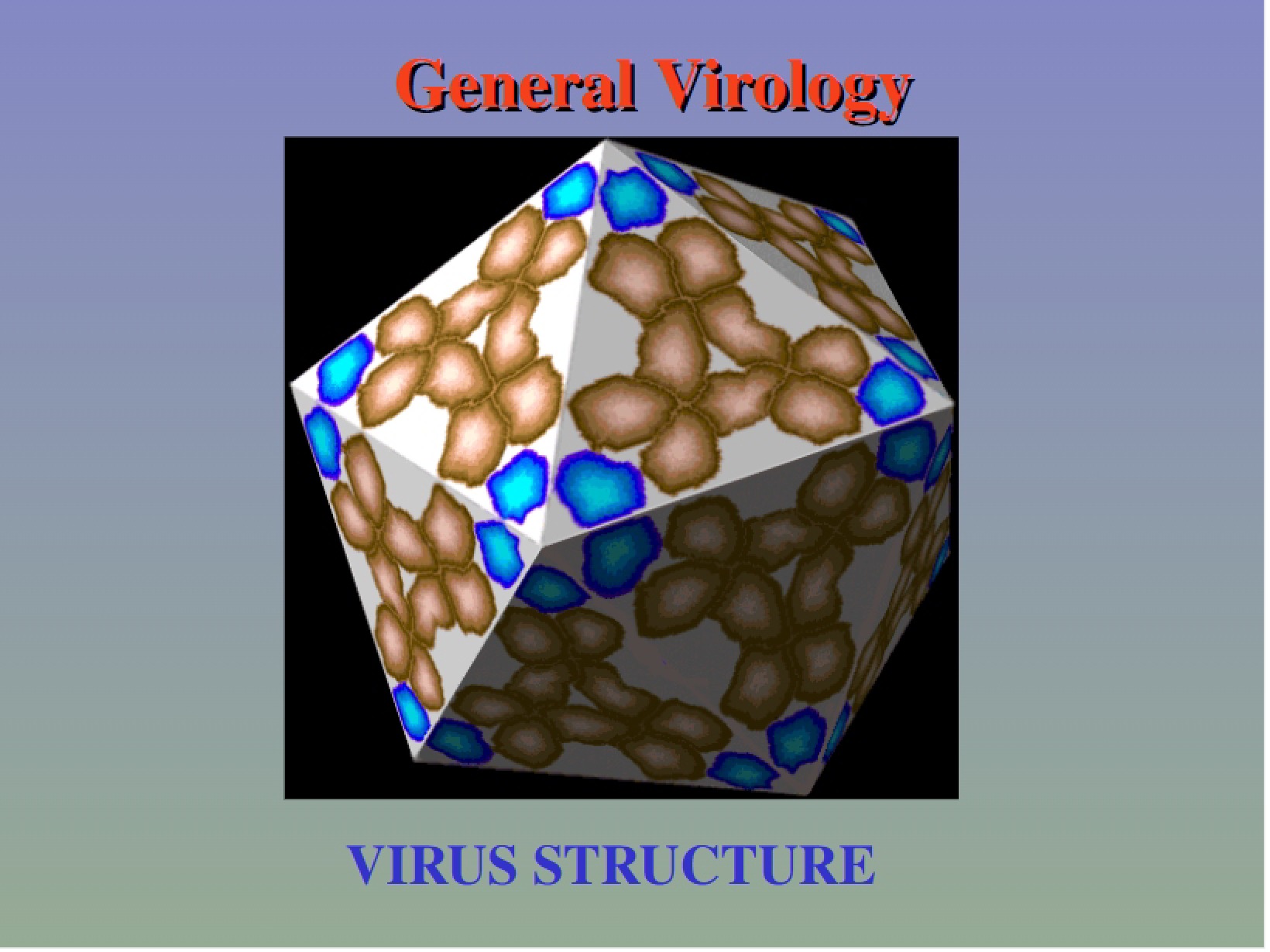 Virology Overview