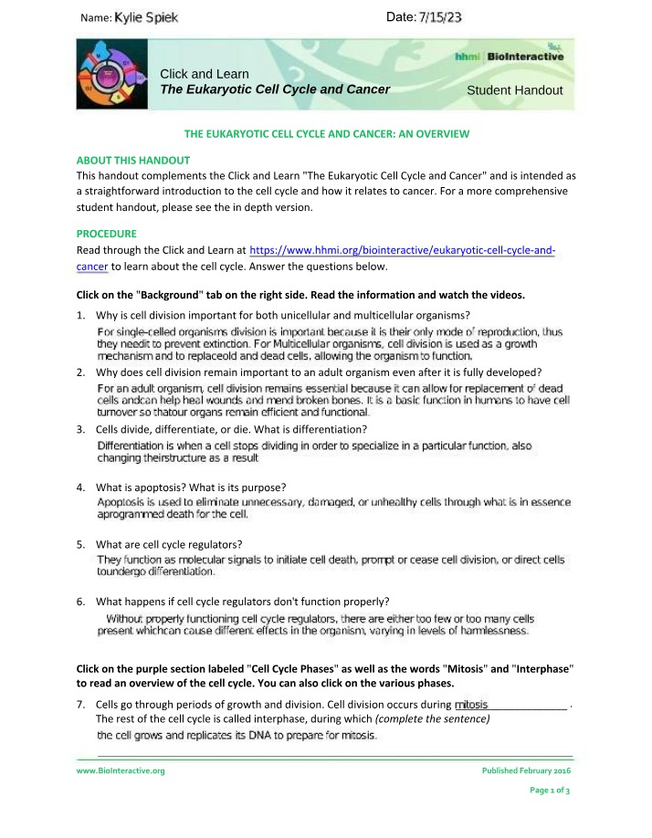 Handout - The Eukaryotic Cell Cycle and Cancer