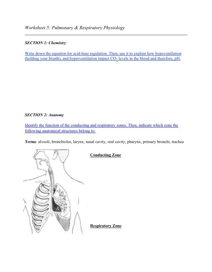 Pulmonary and Respiratory Physiology - Worksheet