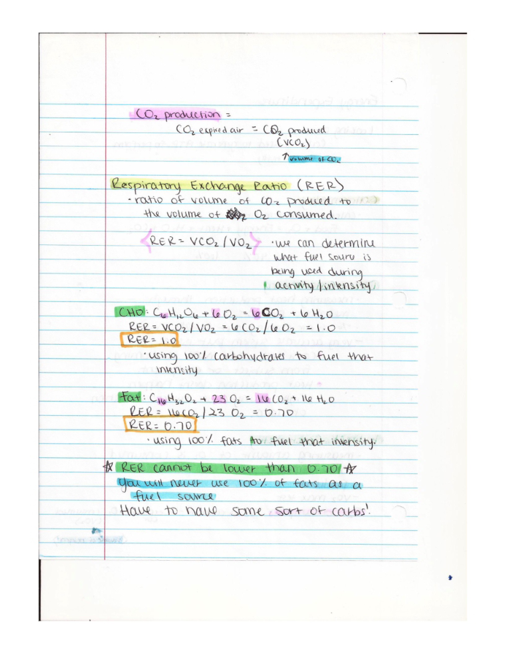 Exercise Physiology Notes