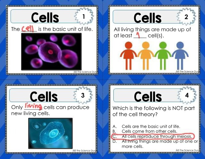Cells - The Basic Unit of Life