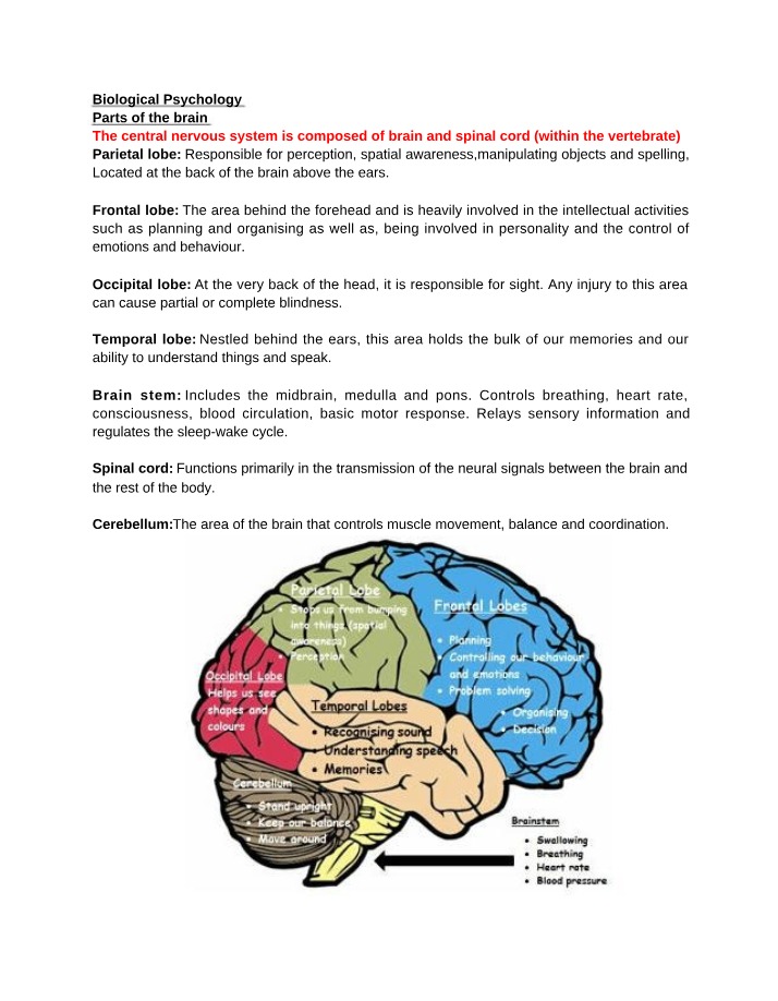 Notes on Biological Psychology
