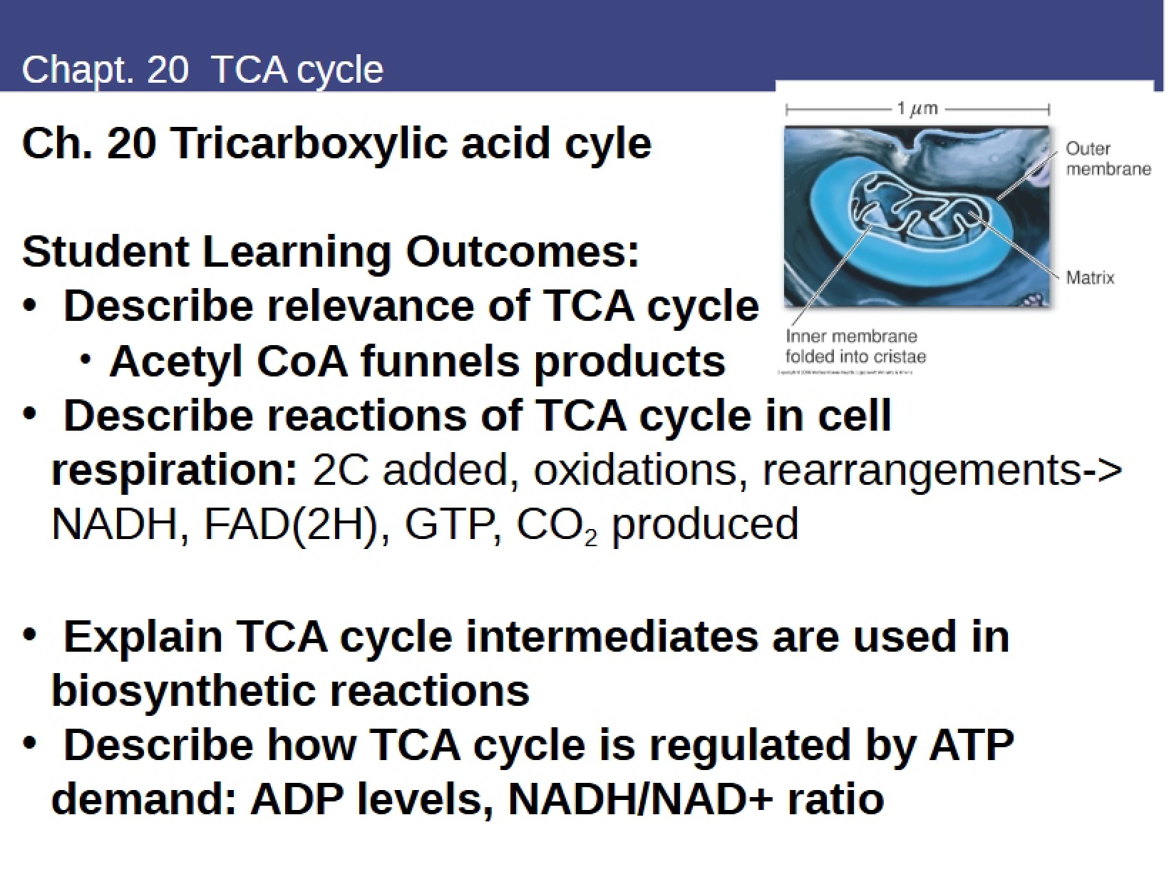 Biomedical Biochemistry Lecture Notes - Biomedical Biochemistry