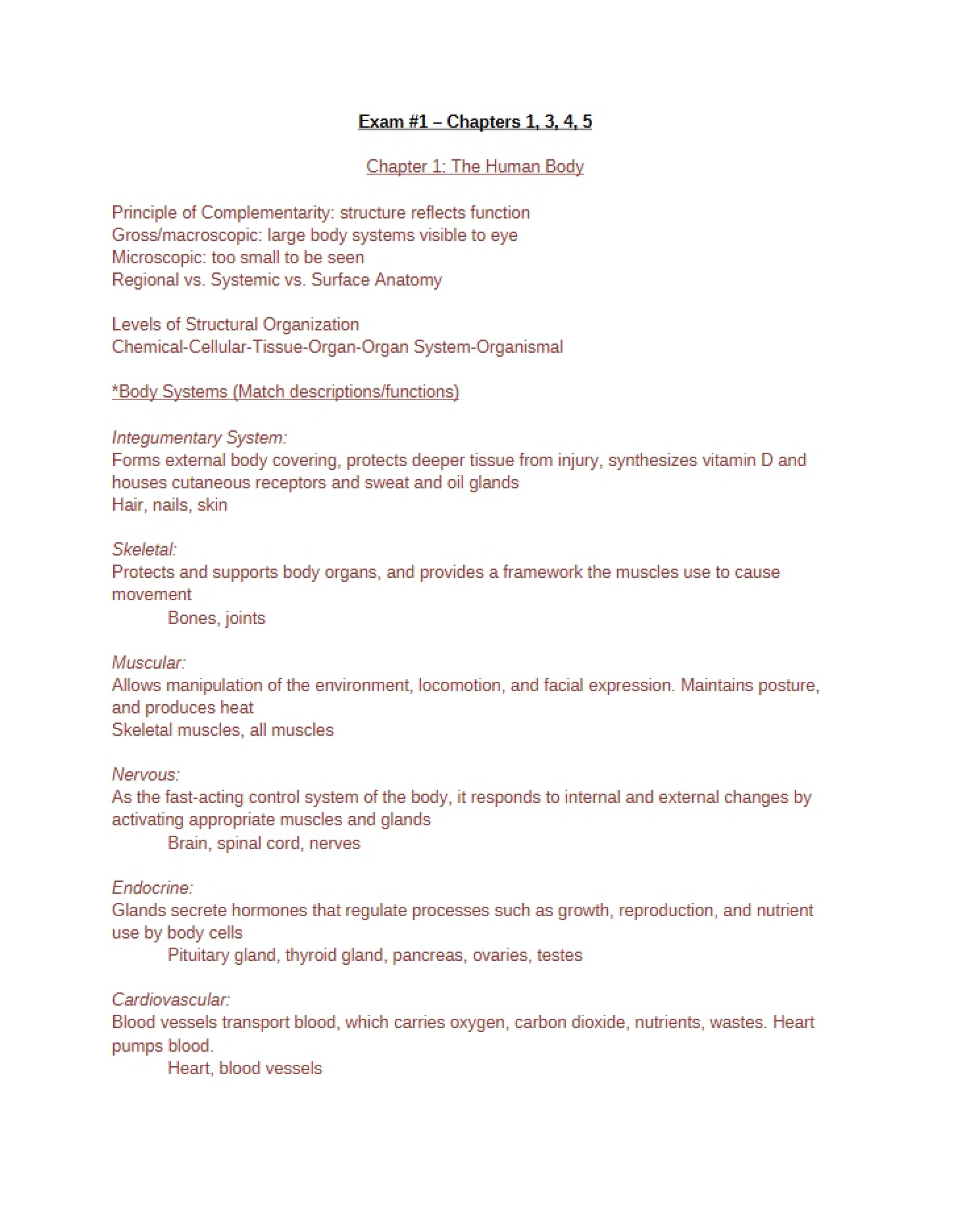 Introduction to the Human Body Chapter 1