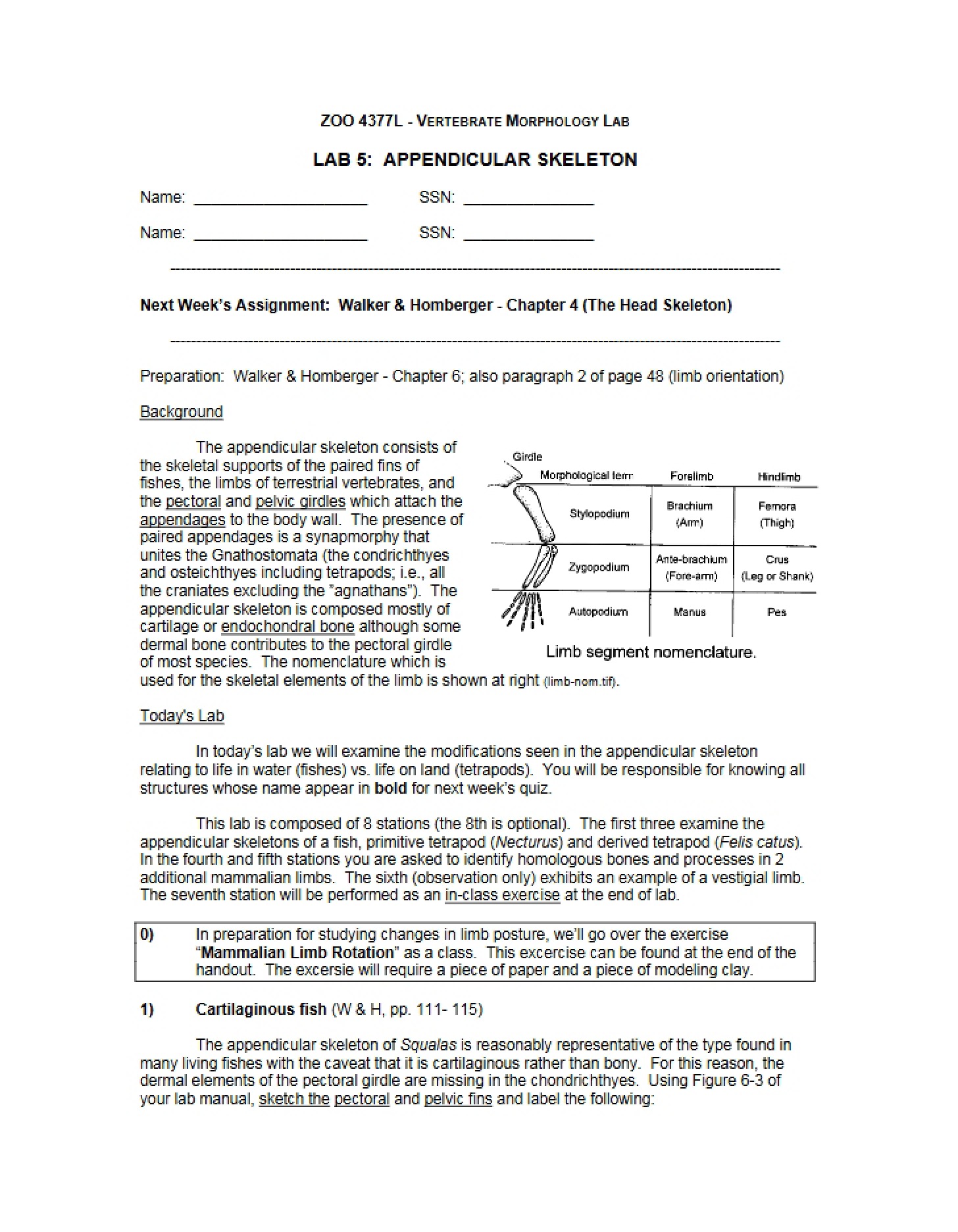 Appendicular Skeleton Lab 5