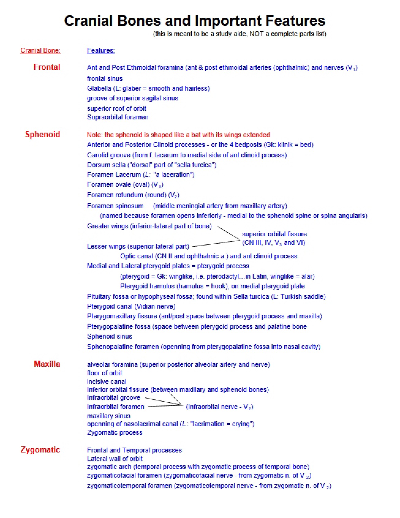 Features of Cranial Bones