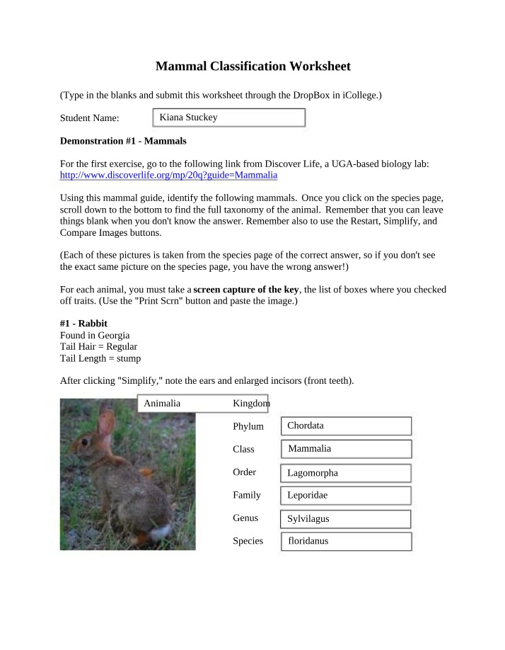 Worksheet on Mammal Classification