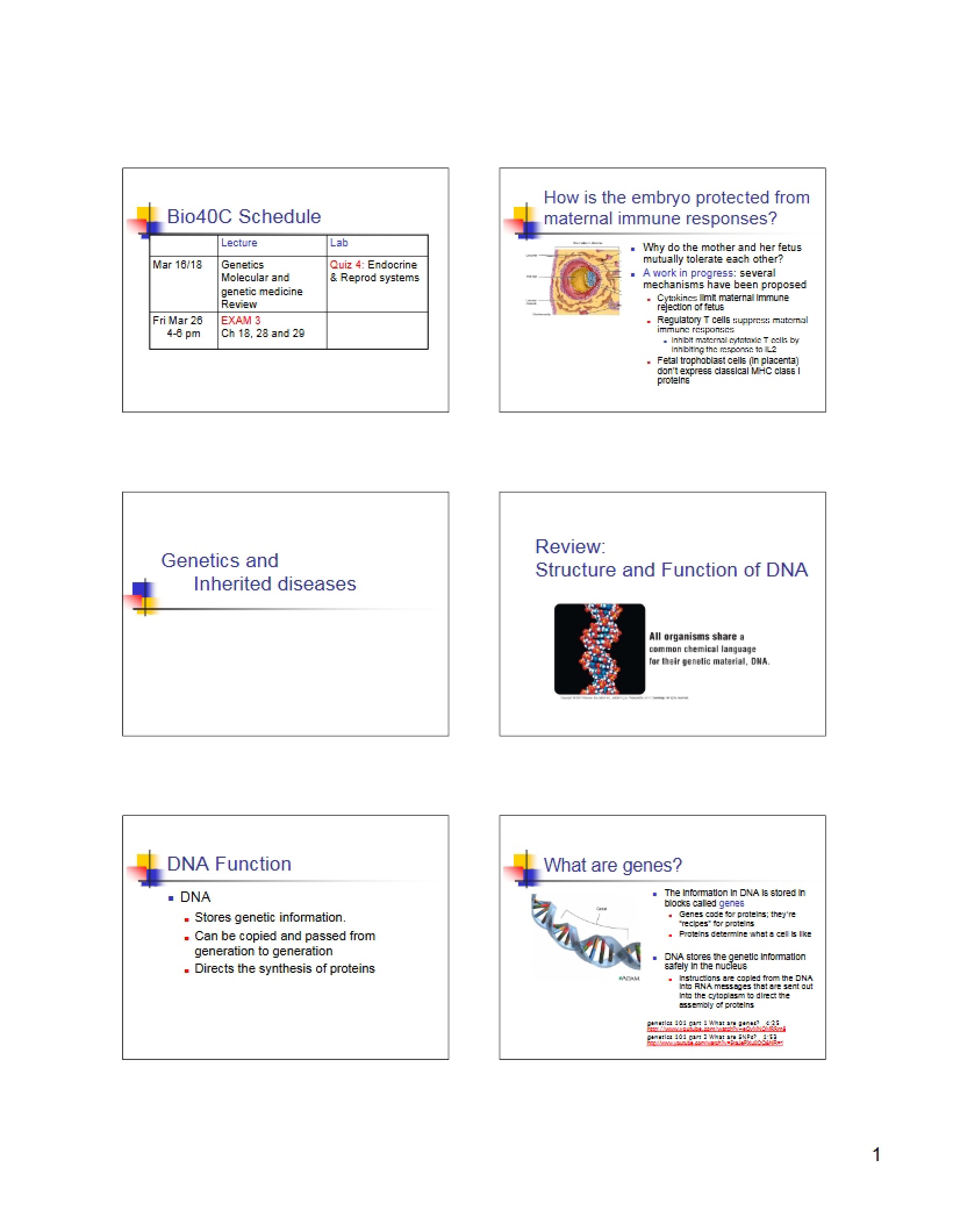 Genetics Overview