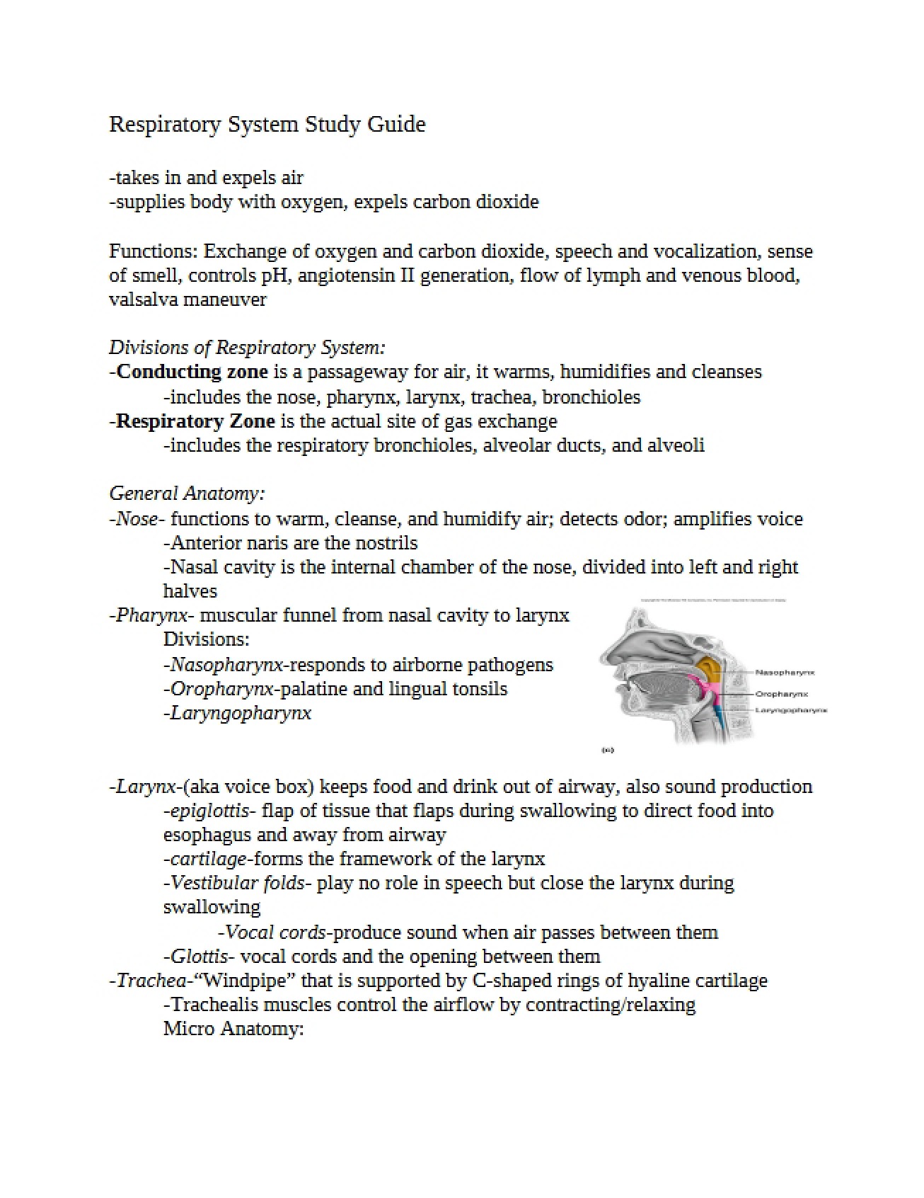 Study Guide for the Respiratory System