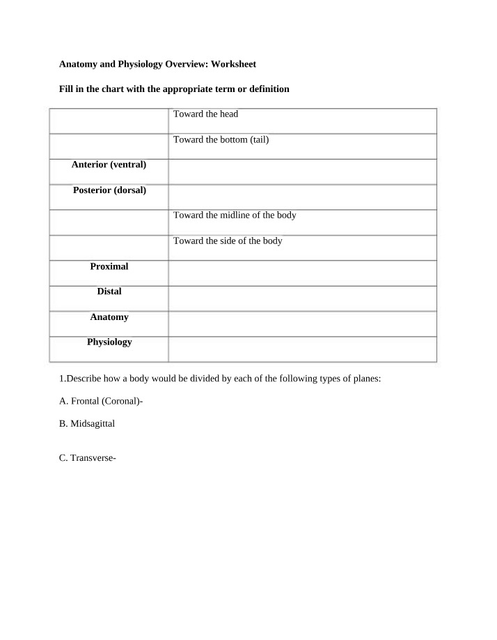 Worksheet - Anatomy and Physiology Overview