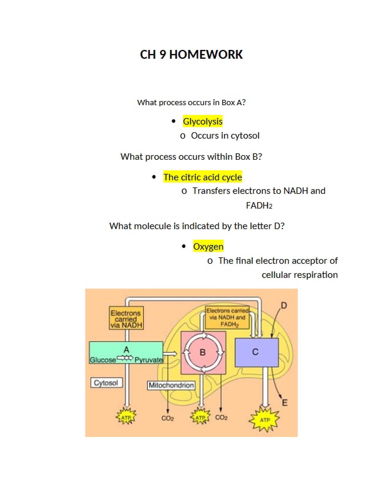 Homework for Chapter 9