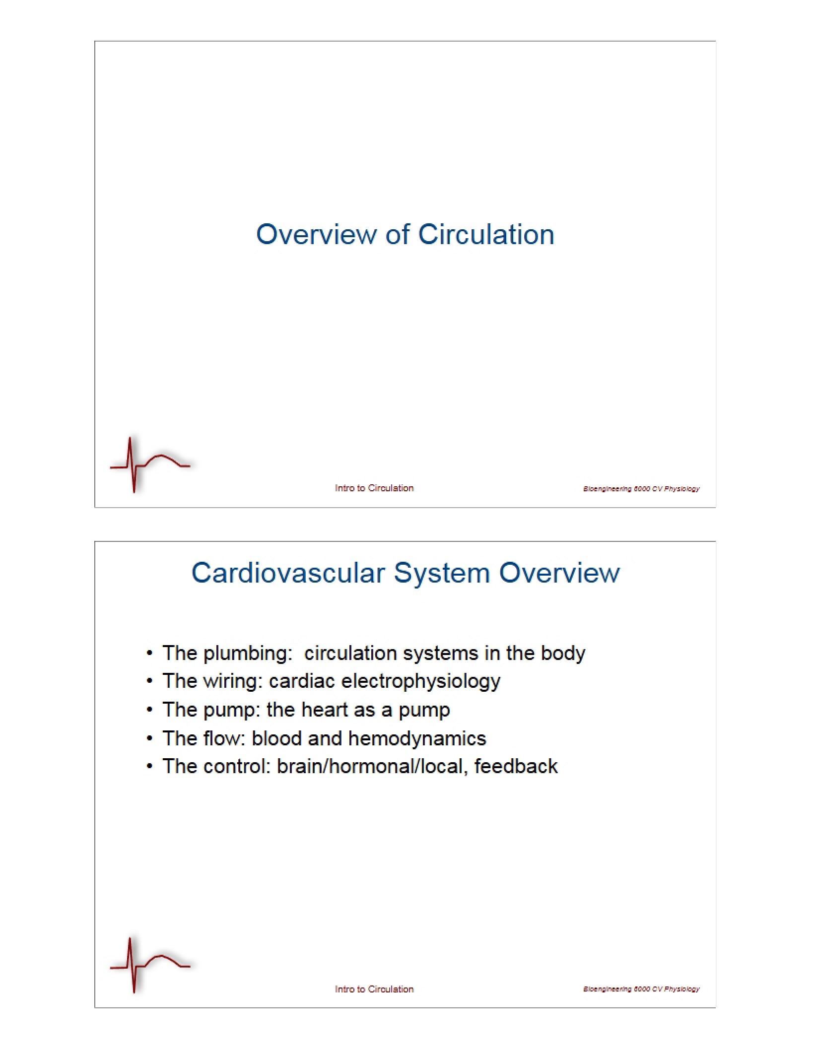 Circulation Overview